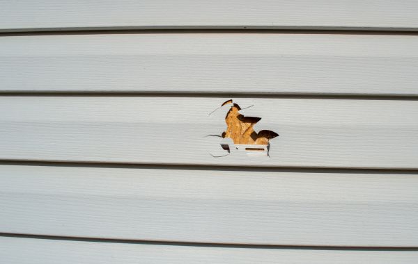 Cost of Siding Hole Repair in Macomb