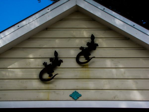 Cost of Shiplap Siding Installation in Macomb